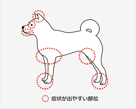 症状が出やすい部位