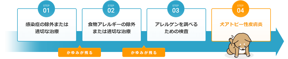 01.感染症の除外または適切な治療 02.食物アレルギーの除外または適切な治療 03.アレルゲンを調べるための検査 04.犬アトピー性皮膚炎