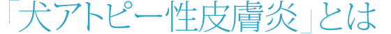 「アトピー性皮膚炎」とは